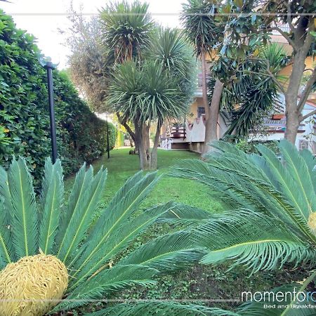 Momentoroma B&B Ciampino Exterior photo