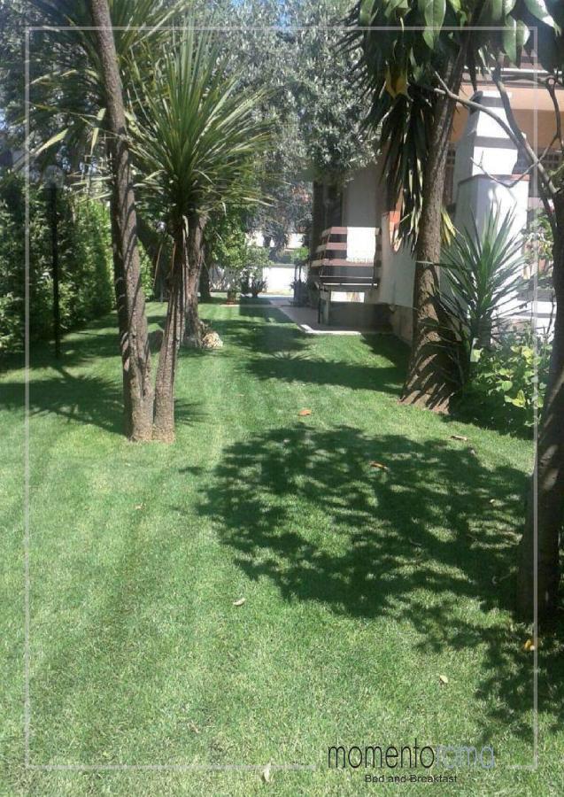 Momentoroma B&B Ciampino Exterior photo